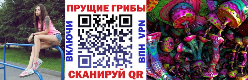 Псилоцибиновые грибы Psilocybe  Кириши 