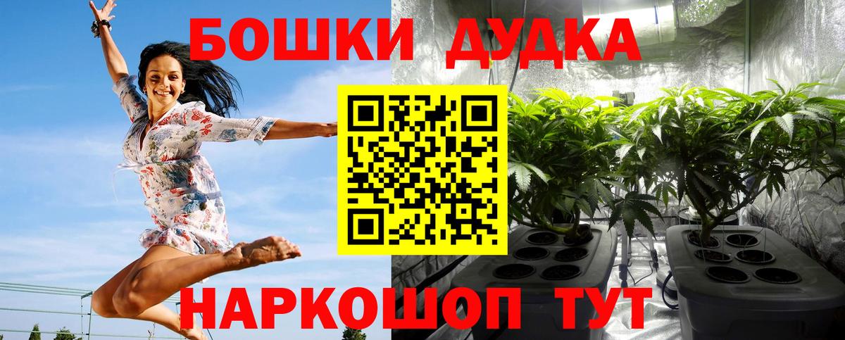 Кириши  Бошки марихуана MAZAR  Бошки марихуана конопля  Каннабис OG Kush  Вход с VPN  Бошки Шишки семена 